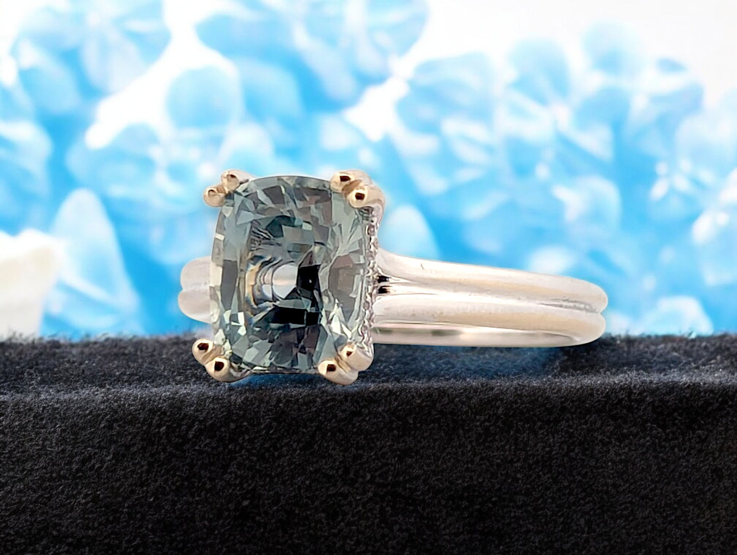 Liana | 14K White Gold | Sapphire and Natural Diamond | Ring