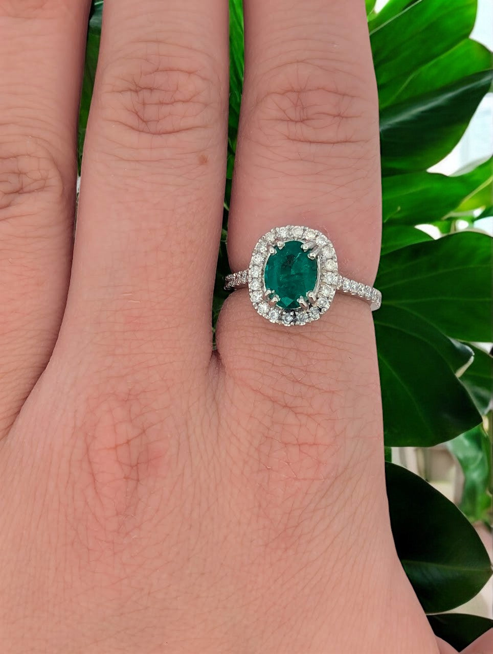 Celeste | 14K White Gold | Emerald and Natural Diamond | Ring