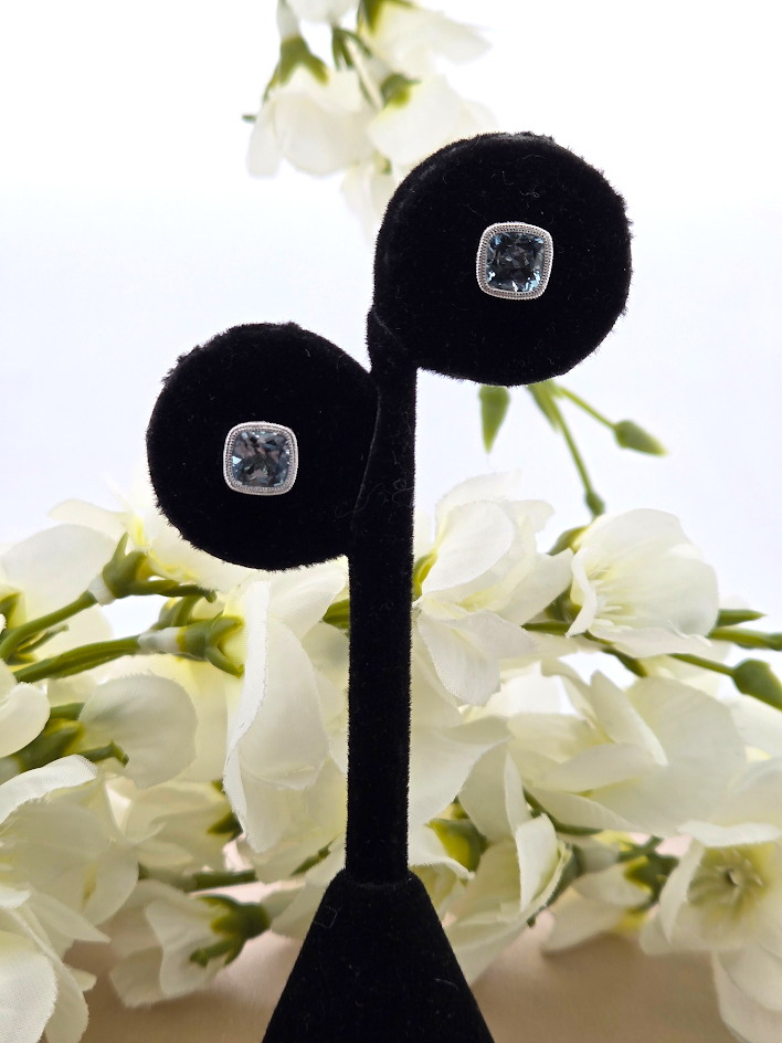 Alliah | 14k White Gold | Aquamarine | Earrings