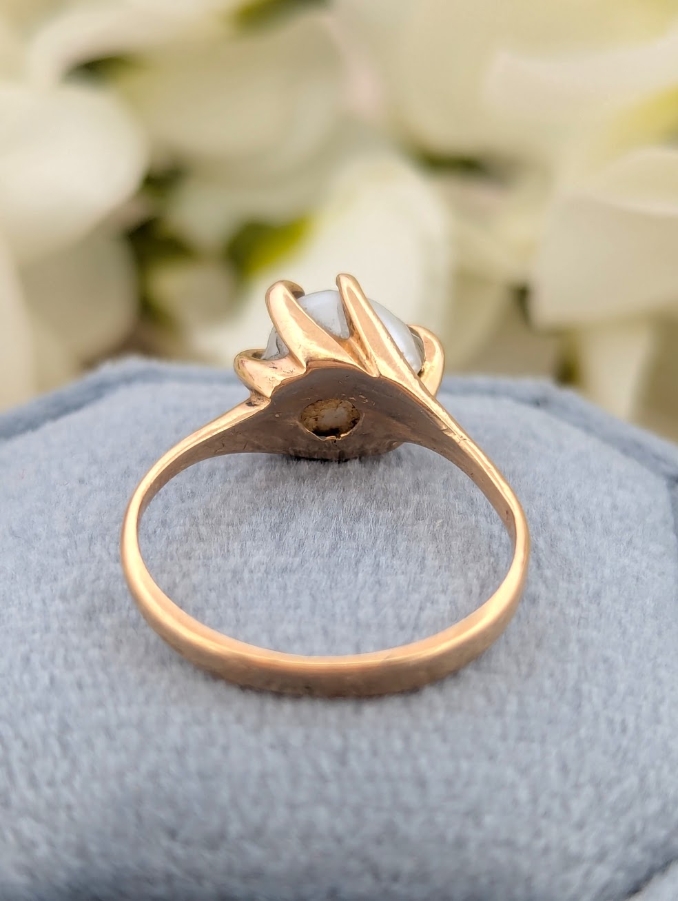 Elena | 14K Yellow Gold | Pearl | Ring